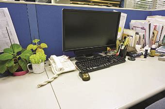 辦公桌擺設植物 1984年屬鼠